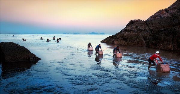 京海配资 农业发展70年：从吃饱饭到现代农业 乡村振兴开启新篇章