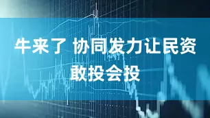 牛来了 协同发力让民资敢投会投