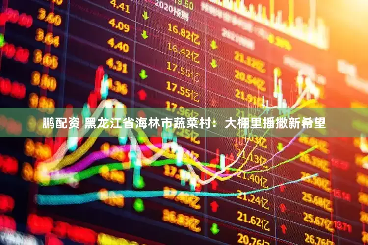 鹏配资 黑龙江省海林市蔬菜村：大棚里播撒新希望